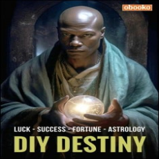 DIY Destiny DIY Destiny